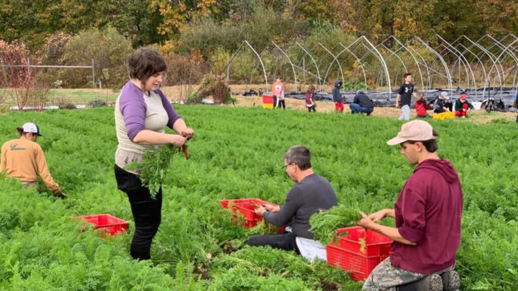 farm to table tour