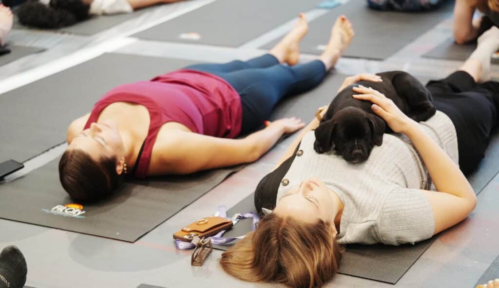 Puppy Yoga
